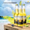 Top 10 Beers That Americans Like The Most