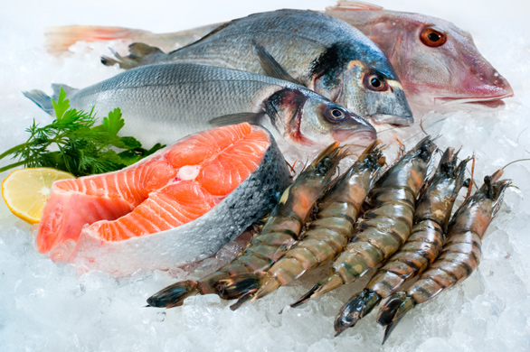 Top 10 Paleo Diet Ideas For Sound Health
