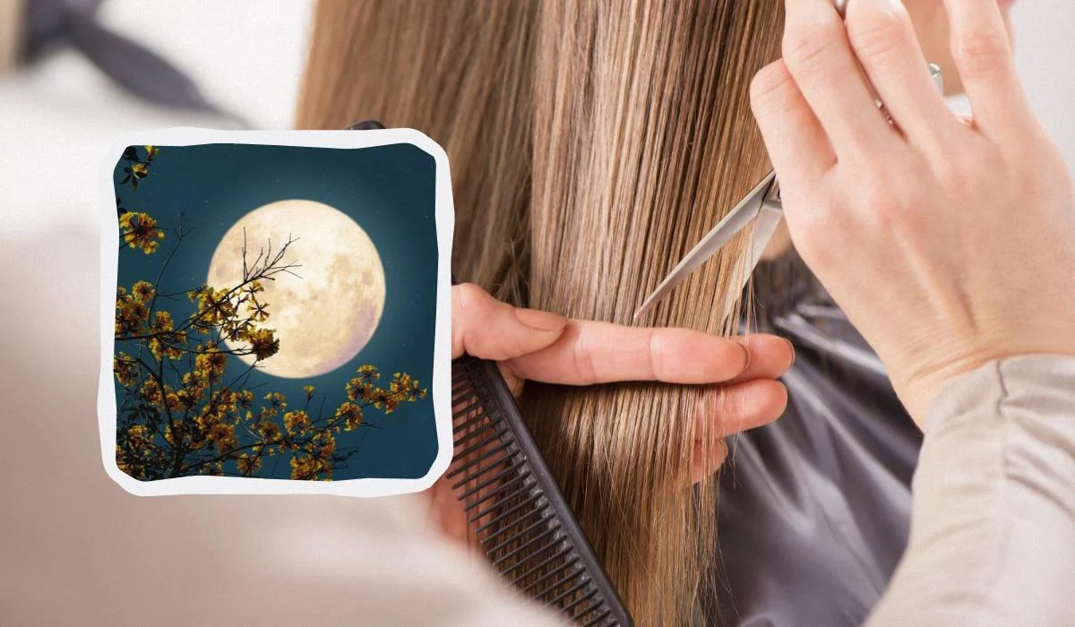 Haircut Timing Guide: When NOT to Cut Your Hair in Fall 2025